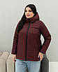 Осінні жіночі куртки  великих розмірів  48-70 бордовий, фото 4