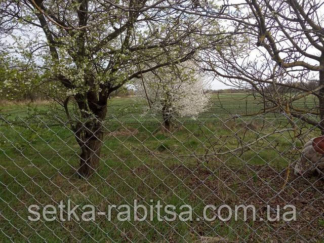 Сітка рабиця різного розміру