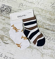 Бавовняні шкарпетки для хлопчиків Kangaroo