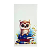 Бірка-листівка "Сова" 50х90 мм (10 шт)