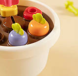 Сортер Hola HE 795800 Горщик із квітами, фото 3