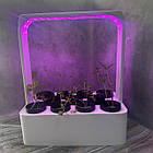 Горщик Вазон для вирощування зелені методом гідропоніки з ФІТО підсвіткою, фото 2