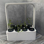 Горщик Вазон для вирощування зелені методом гідропоніки з ФІТО підсвіткою, фото 8