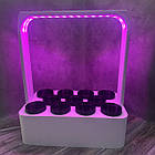 Горщик Вазон для вирощування зелені методом гідропоніки з ФІТО підсвіткою, фото 9