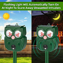 2 шт. Модернізований ультразвуковий відлякувач шкідників, Amazon, Німеччина, фото 4