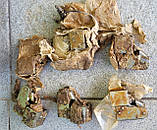 Щіткотримачі генератора ГСФ-100, ГСФ-200 оригінал, фото 3