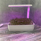 Горщик із набором для вирощування мікрозелені з LED-фітопідсвіткою методом гідропоніки, фото 2