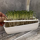 Горщик із набором для вирощування мікрозелені з LED-фітопідсвіткою методом гідропоніки, фото 3