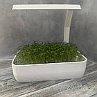 Горщик із набором для вирощування мікрозелені з LED-фітопідсвіткою методом гідропоніки, фото 6