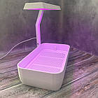 Горщик із набором для вирощування мікрозелені з LED-фітопідсвіткою методом гідропоніки, фото 8