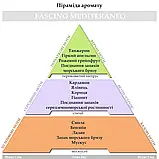 Аромадіфузор у машину, карбонова кліпса Hypno Casa, аромат - Fascino Mediterraneo, фото 7