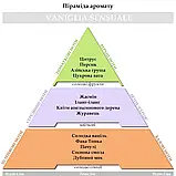 Ароматизатор в автомобіль серце кліпса Hypno Casa, аромат - Vaniglia Sensuale, фото 4