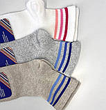 Шкарпетки підліткові полоска асорті 19-21 р. (12 пар!) (Демісезонні/літо) Варос, фото 6