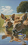 (Електронна)Схема для вишивання хрестиком або петитом: "Олені на світанку", фото 2