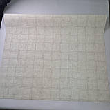 Шпалери вінілові 1,06 × 10,05 м Marburg Floralia 1030516, бежеві геометрія під штукатурку для вітальні, спальні, фото 4