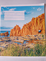 Зошит шкільний 12 аркушів клітинка картонна кольорова обкладинка офсетний папір для хлопчика Бриск