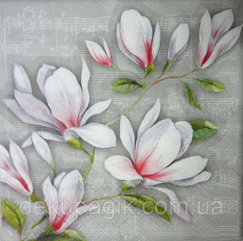 Серветка для декупажу ЦО-25 (33х33см)