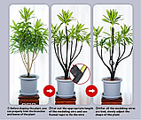 Садовий шпагат для підв'язки рослин, фото 2