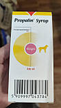 Пропалін Propalin сироп для лікування нетримання сечі в собак, 100 мл, фото 2