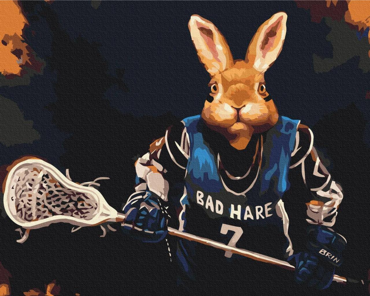 Картина за номерами Гравець Lucia Heffernan 40х50см, термопакет, ТМ Brushme, Україна, фото 1