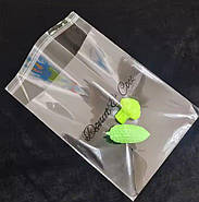 Прозорий поліпропіленовий пакет 15х25 см з клейовим клапаном і логотипом на замовлення для пакування одягу, фото 7