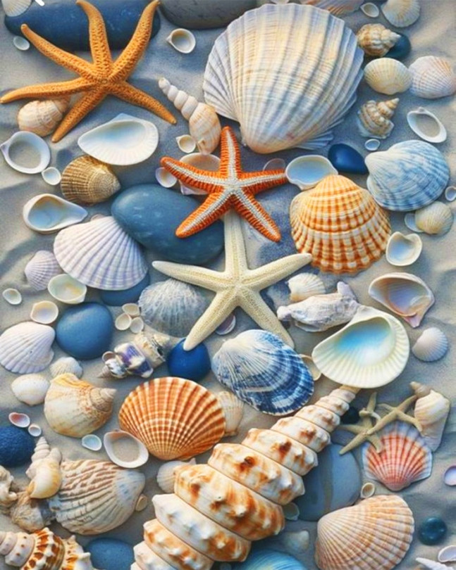 Картина зі страз My Art Морські мушлі з голограмними стразами (AR-3267) 40 х 50 см (На підрамнику), фото 1