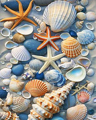 Картина зі страз My Art Морські мушлі з голограмними стразами (AR-3267) 40 х 50 см (На підрамнику)