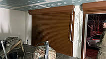 Захисні ролети та ролетні ворота для дому 2
