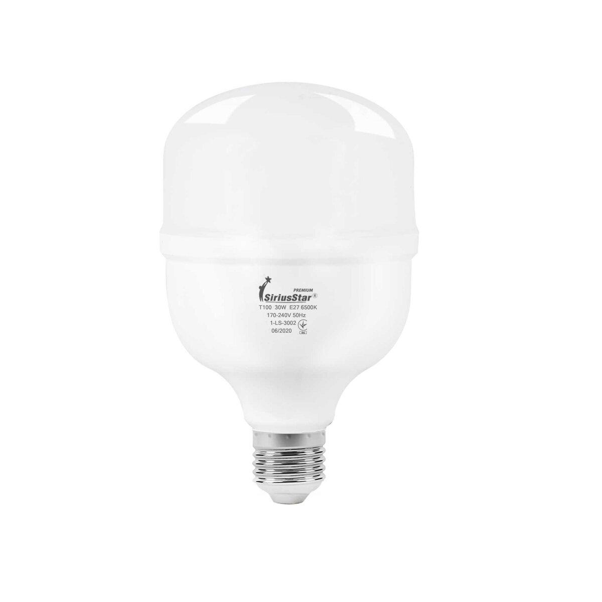 Лампа технічного призначення SIRIUSSTAR 3002 Т100-30W-6500K-E27, фото 1