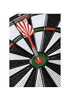 Електронний дартс Outtec DB1000 багатофункціональний для активного відпочинку та розваг, фото 2