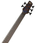 5-струнна бас-гітара IBANEZ SRH505F NNF, фото 9