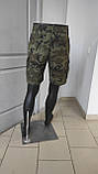Шорти чоловічі мілітарі накладні кишені бавовна 34 хакі, фото 2