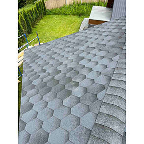 Бітумна черепиця Aquaizol "Мозаїка" Таїті, фото 1