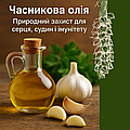 ЧАСНИКОВА ОЛІЯ: ПРИРОДНІЙ ЗАХИСТ ДЛЯ СЕРЦЯ, СУДИН, ІМУНІТЕТУ