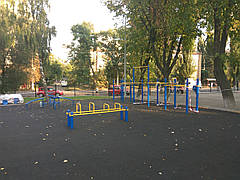 Спортивний комплекс для Воркаут турник бруси Workout KZ S831.1, фото 5