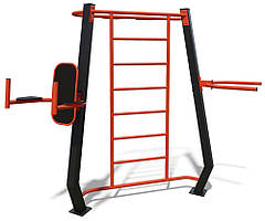 Мультифітнес станція вулчина спортивні майданчики Mini FS800, фото 4