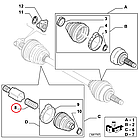 Пружина внутрішнього ШРКШ Fiat Ducato 230, Peugeot Boxer, Citroen Jumper (1994-2002), фото 4