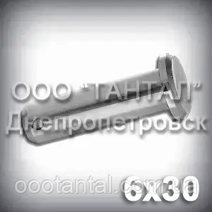 Палець — вісь 6х30 DIN 1444 В (ГОСТ 9650-80 тип 6) ISO 2341 сталевий оцинкований, фото 1