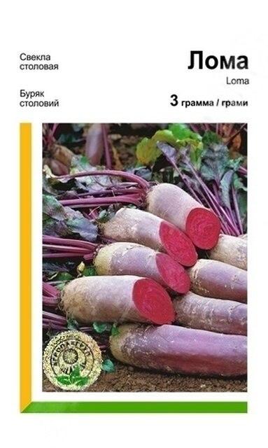 Насіння Буряк Лома 3гр Rijk Zwaan