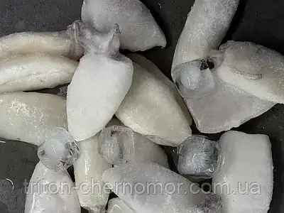 Кальмар бебі, фото 1