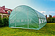 Теплица-парник для сада, огорода и цветов, площадь 18 м2, модель EuroUP, размеры 600×300×200 см - фото 3 - id-p2694851299