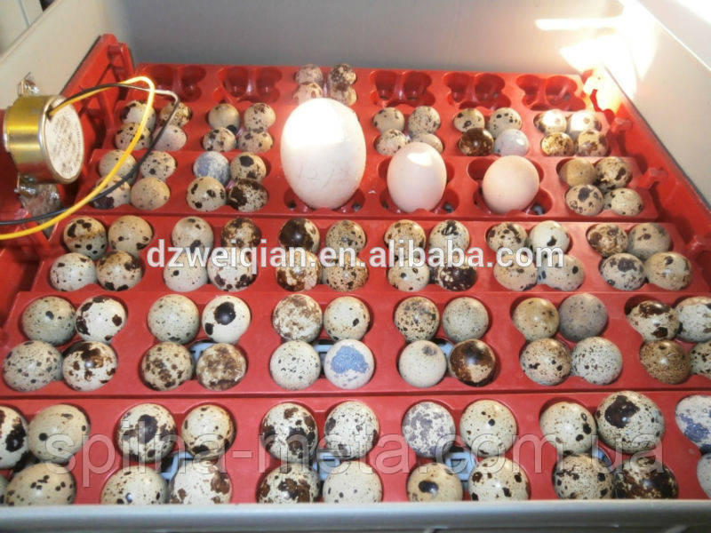 Инкубатор автоматический для высиживания гусиных, индюшиных, перепелиных яиц - фото 4 - id-p237974574