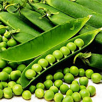 Насіння Горох "Дитячий захват" 20 г.