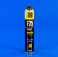 Монтажна піна ProLife F75 (A1) 850 мл