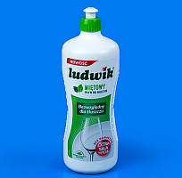 Мийний засіб для посуду Ludwik Mint 900 мл