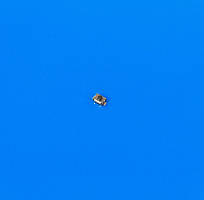 Тактова кнопка 3x4x2.5 мм 2 контакти