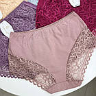 Жіночі бавовняні трусики #902 Leiccina, фото 4