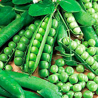 Горох "Фора"