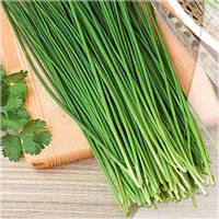 Насіння Цибуля - Шнітт 1 г.