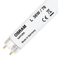 Лампа люмінесцентна для прилавків холодильників L 36w/76 OSRAM NATURA G13